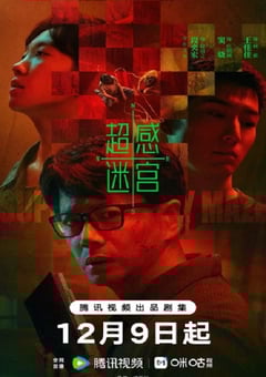 2025年国产大陆电视剧《超感迷宫》全20集
