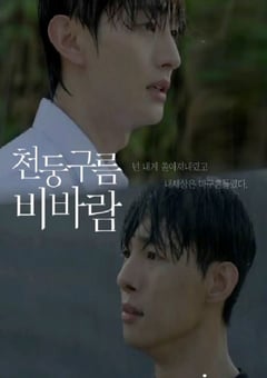 2025年韩国电视剧《雷云暴雨 》全8集