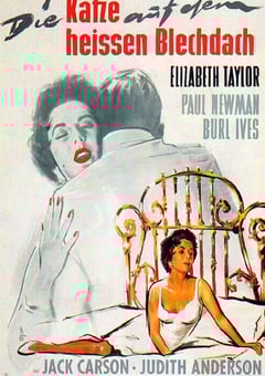 1958年美国经典剧情片《朱门巧妇》蓝光中英双字