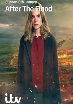 2026年英国电视剧《洪水之后 第二季》全6集