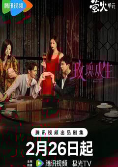 2026年国产大陆电视剧《玫瑰丛生》连载至03