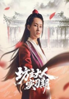 2026年国产大陆电视剧《坊主大人实习期》全20集