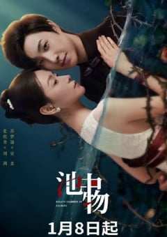 2026年国产大陆电视剧《池中物》全16集