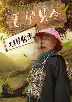 2016年国产喜剧片《毛驴县令之草鞋公主》HD国语中字