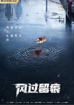 2026年国产大陆电视剧《风过留痕》连载至04