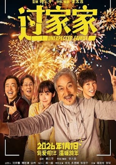 2026年国产6.6分剧情片《过家家》HD国语中英双字