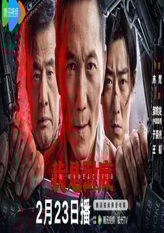 2026年国产动作片《我是卧底》HD国语中字