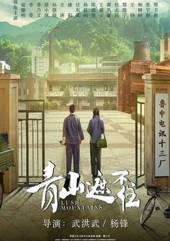 2021年国产大陆电视剧《青山遮不住》连载至12