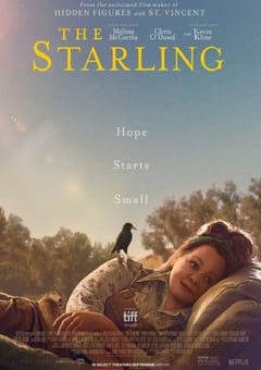 2021年美国剧情片《八哥》HD英语中字