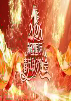 2026新疆国际春节联欢晚会HD国语中字