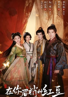 2026年国产大陆电视剧《在你眉梢种红豆》连载至06