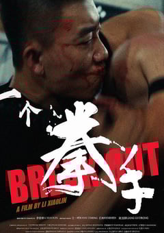 2026年国产动作片《一个拳手》HD国语中字