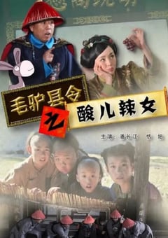2014年国产喜剧片《毛驴县令之酸儿辣女》HD国语中字