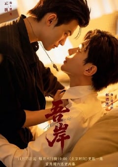 2025年国产大陆电视剧《吾岸》全15集