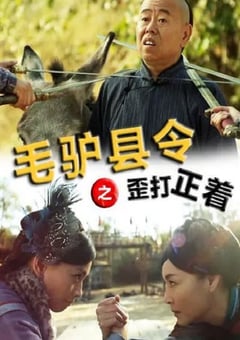 2014年国产喜剧片《毛驴县令之歪打正着》HD国语中字