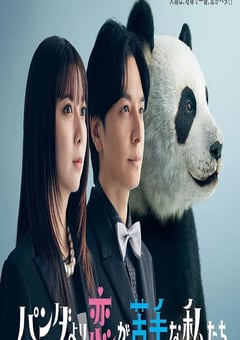 2026年日本电视剧《比熊猫更不擅长恋爱的我们》连载至08