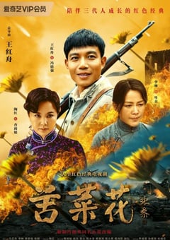 2019年国产电视剧《苦菜花》 连载至第10集