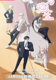 2025年国产动漫《为喵人生》连载至19