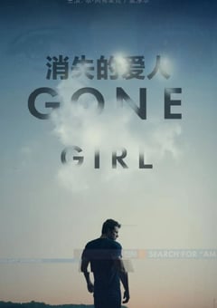 2014年美国经典悬疑片《消失的爱人》蓝光中英双字