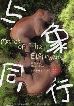 2022年国产纪录片《与象同行》 连载至HD国语中字