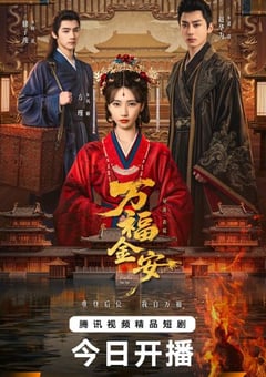 2026年国产电视剧《万福金安》 连载至第08集