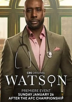 2025年美国电视剧《华生 第二季》 连载至第13集