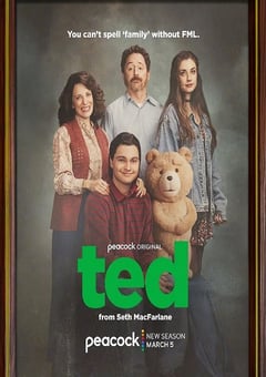 2026年美国电视剧《泰迪熊第二季》全8集