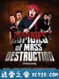 毁灭僵尸 ZMD : Zombies of Mass Destruction (2009)