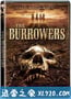 神秘的地洞 The Burrowers (2008)