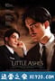 少许灰烬 Little Ashes (2008)