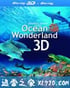 海洋仙境 Ocean Wonderland (2003)