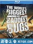 虫霸天下 World's Biggest and Baddest Bugs (2009)