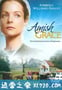 以德报怨 Amish Grace (2010)