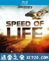 探索频道：生命的速度 Discovery Channel ：Speed of Life (2010)