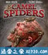 骆驼蜘蛛 Camel Spiders (2011)