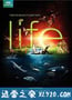 生命 Life (2009)