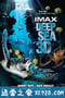 深海猎奇 Deep Sea (2006)