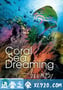 梦幻珊瑚海：唤醒 Coral Sea Dreaming: Awaken (2010)