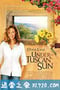 托斯卡纳艳阳下 Under the Tuscan Sun (2003)