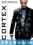 皮层 Cortex (2008)