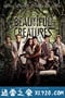 美丽生灵 Beautiful Creatures (2013)