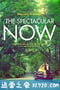 好景当前 The Spectacular Now (2013)