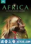 BBC：非洲 BBC: Africa (2013)