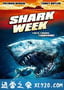 孤岛鲨魂 Shark Week (2012)