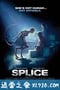 人兽杂交 Splice (2010)