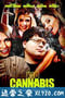 吸大麻的孩子 Kid Cannabis (2014)