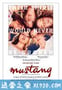 野马 Mustang (2015)