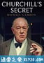 丘吉尔的秘密 Churchill's Secret (2016)