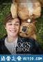 一条狗的使命 A Dog's Purpose (2017)