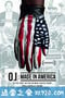 辛普森：美国制造 O.J.: Made in America (2016)